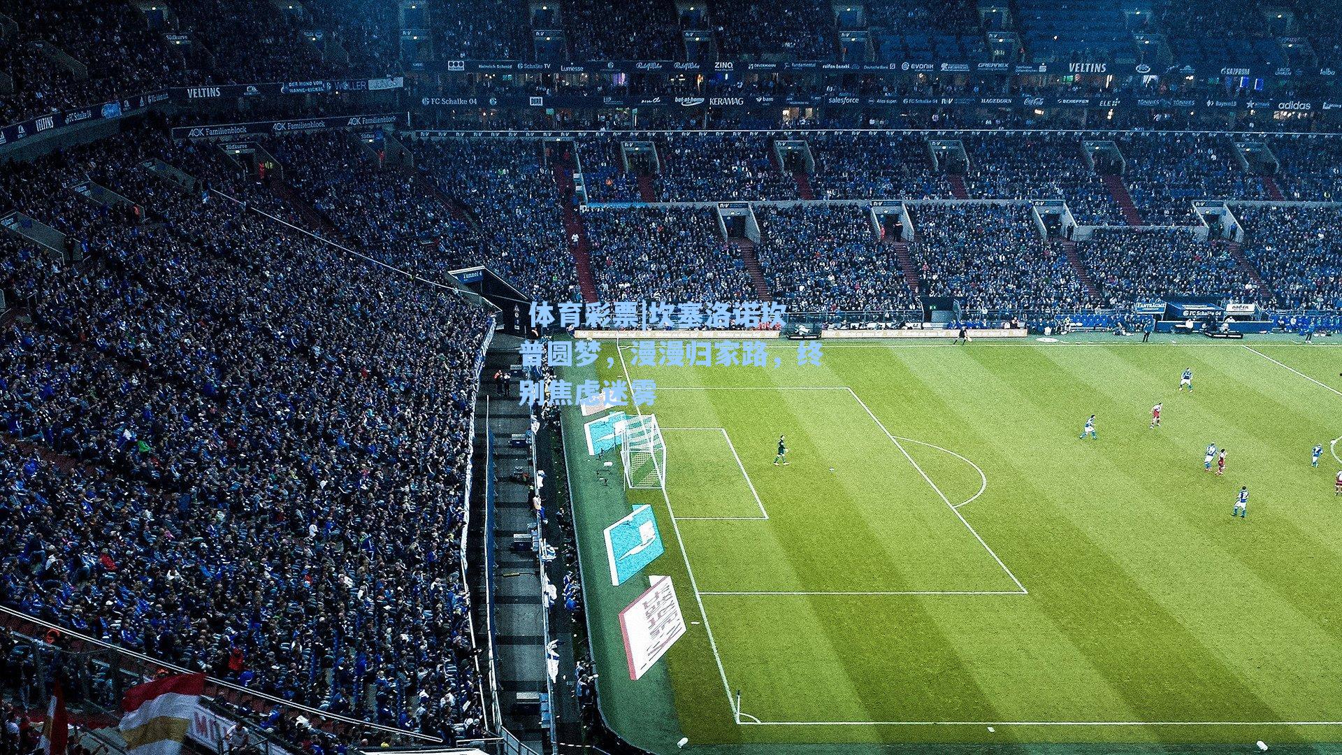 坎塞洛诺坎普圆梦,漫漫归家路,终别焦虑迷雾